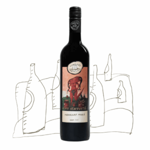 Frankovka modrá, suché, 2024